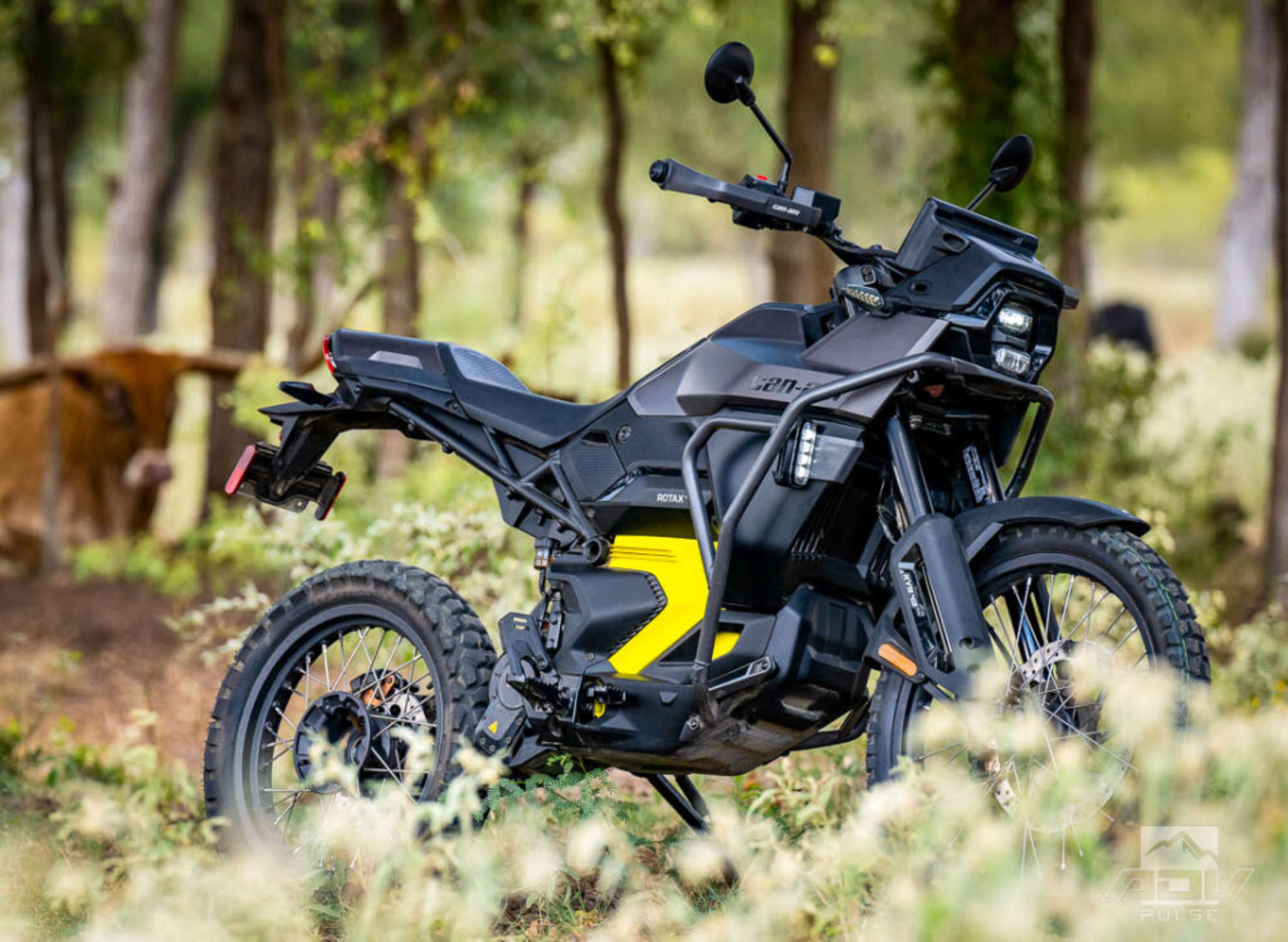 CanAm Origin